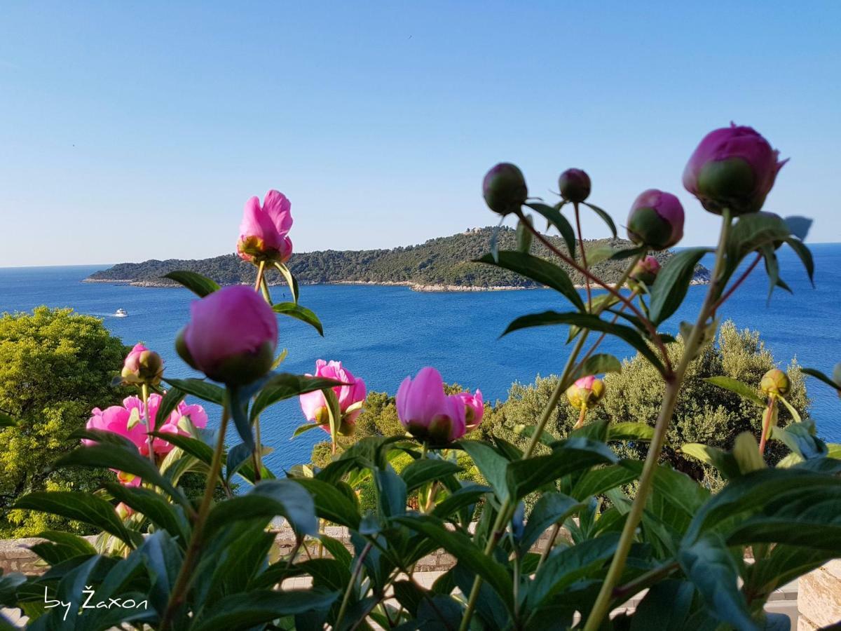 Apartments Sv.Jakov Dubrovnik Buitenkant foto